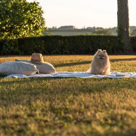 Ca Nova Sud Farmház *