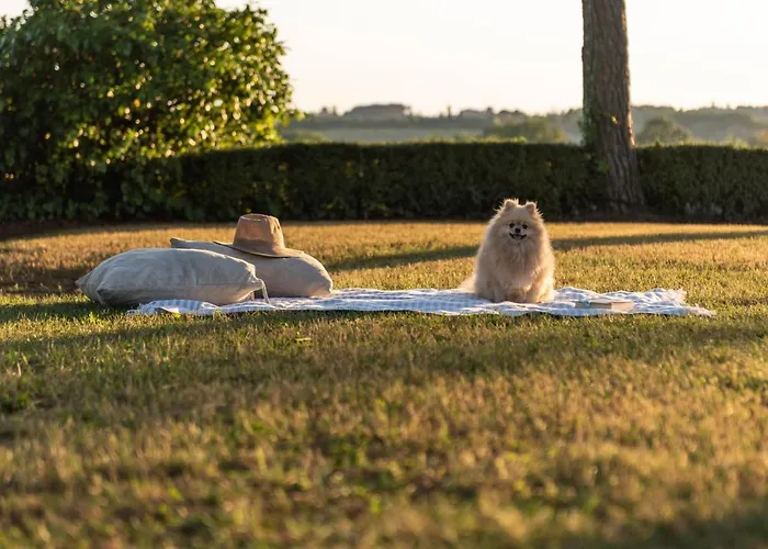 Ca Nova Sud Feriegård *